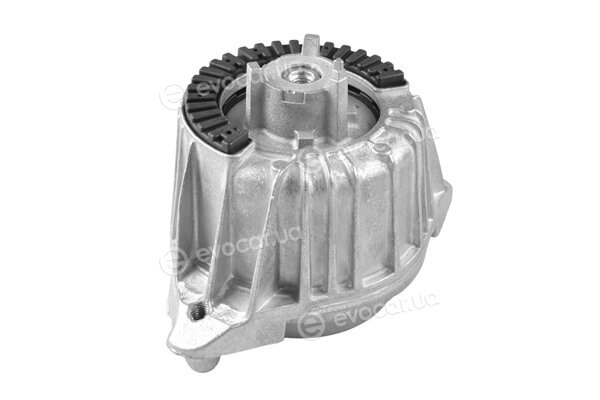 Tedgum TED99086