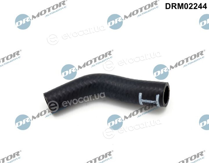Dr. Motor DRM02244