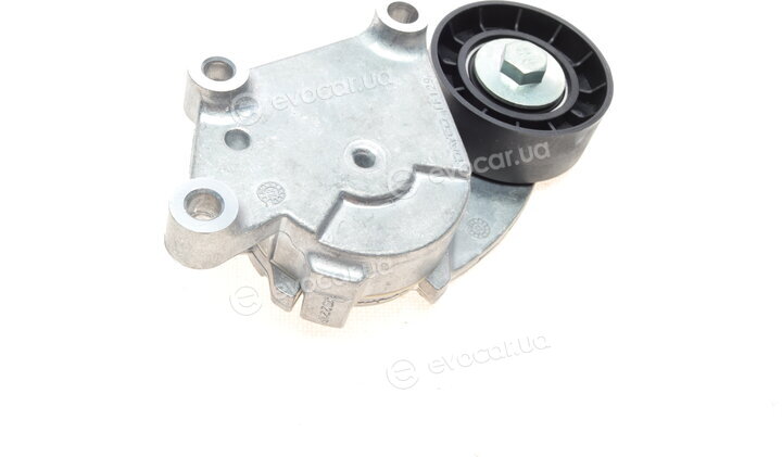 Dayco APV3221