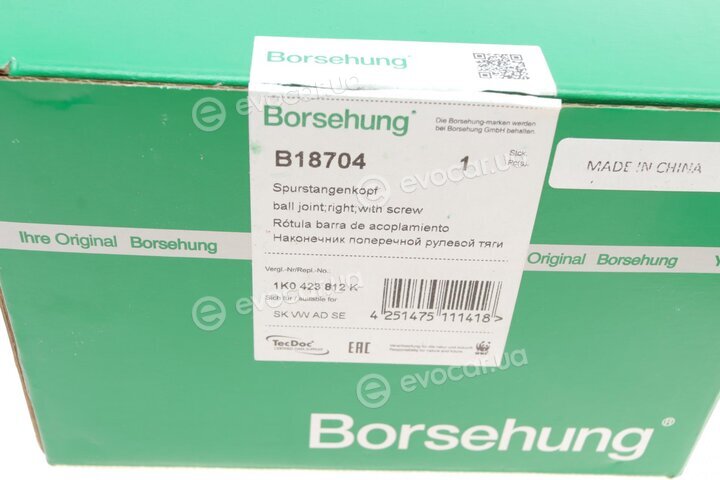 Borsehung B18704