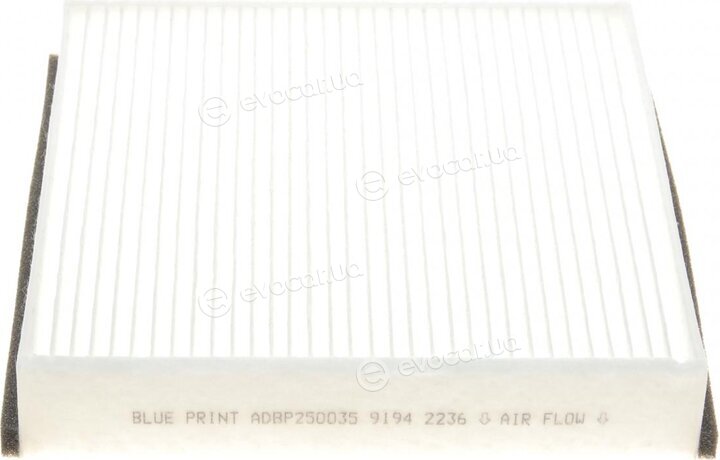 Blue Print ADBP250035