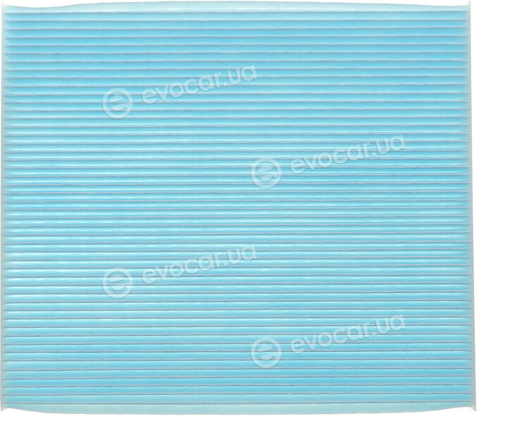 Blue Print ADBP250075
