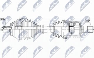 NTY NPW-VW-081