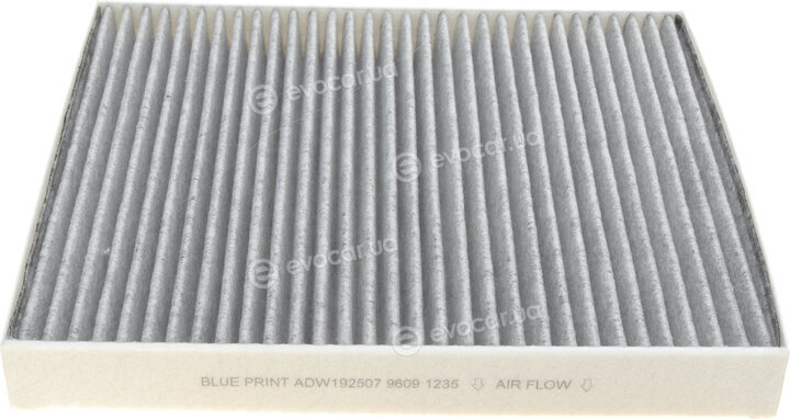 Blue Print ADW192507