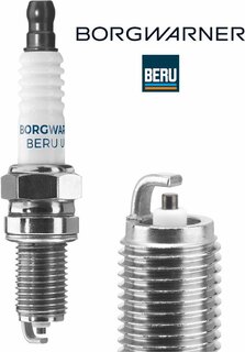 BorgWarner Z358