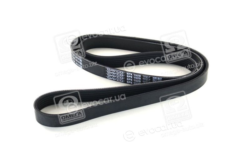 Dayco 6PK1520