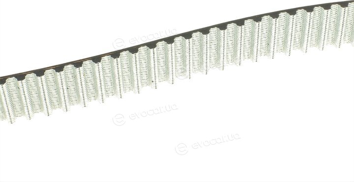 Dayco KTBWP3390