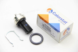 Vernet / Calorstat WS3019