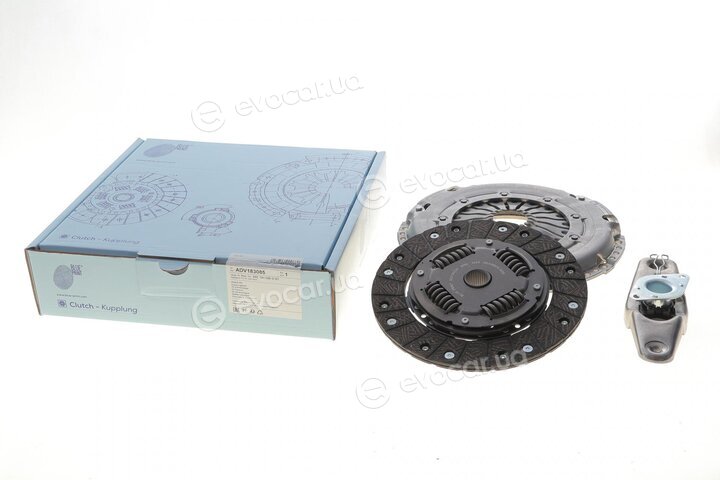 Blue Print ADV183085
