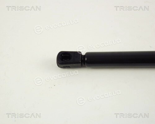 Triscan 8710 67204