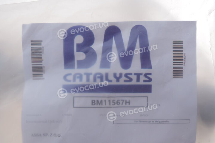 BM Catalysts BM11567H