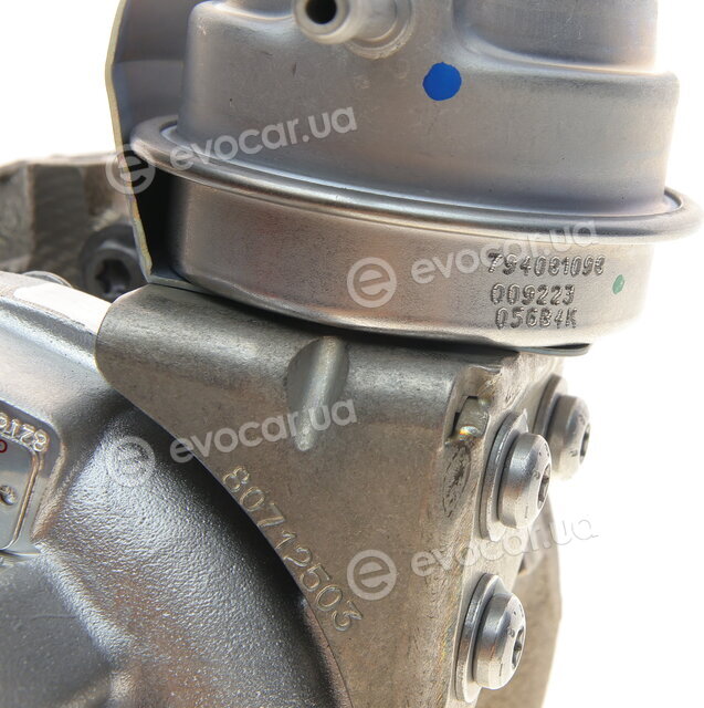 Garrett 821866-5009S