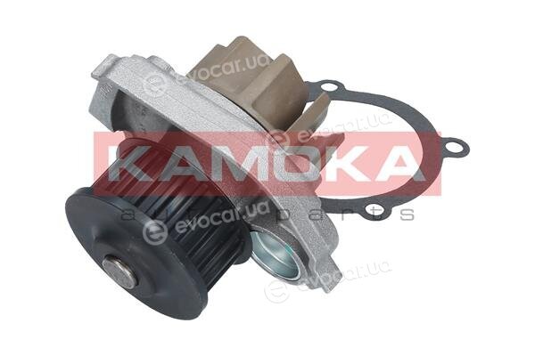 Kamoka T0013