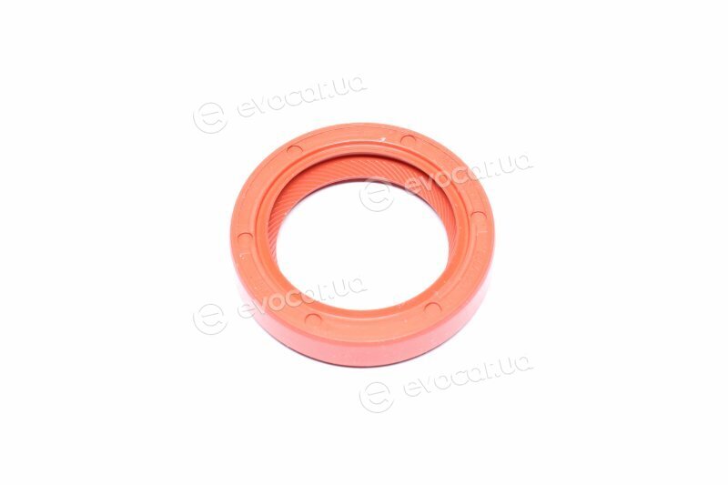 Elring 507.725