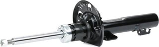 Ridex 854S0316