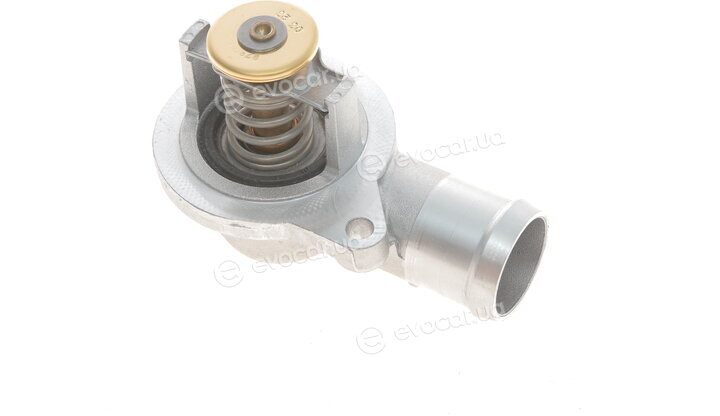Wahler / BorgWarner 4430.87D