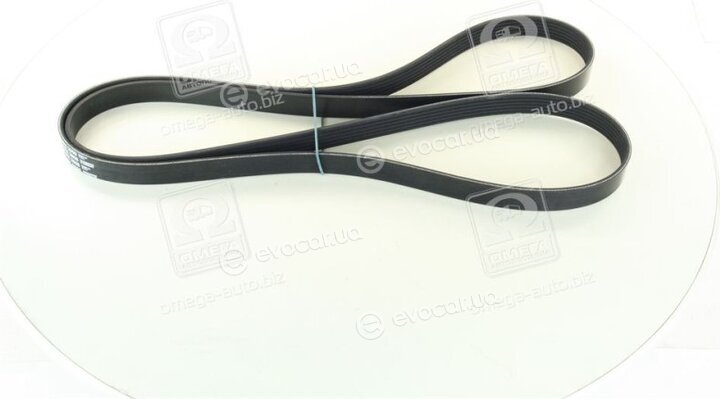 Continental 6PK2020