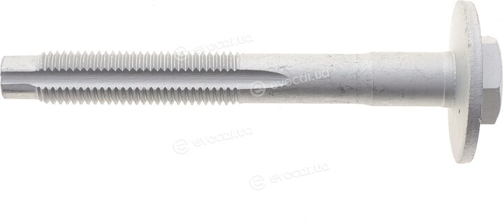 Solgy 204241