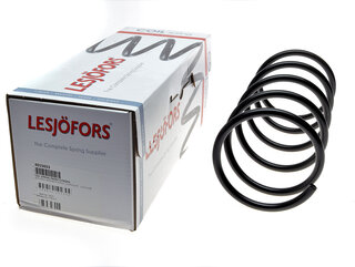 Lesjofors 4015653