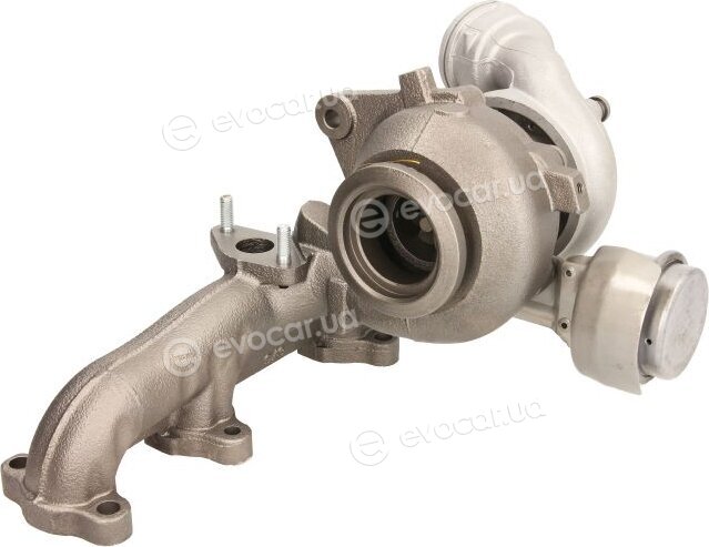 BorgWarner 54399880048/R