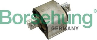 Borsehung B13079