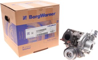 BorgWarner 16359880029