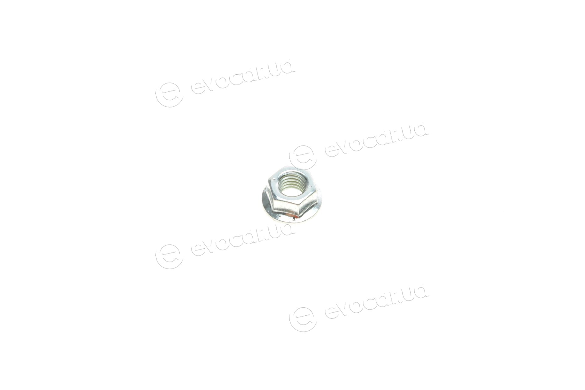 Solgy 202109