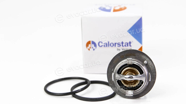 Vernet / Calorstat TH6962.90J