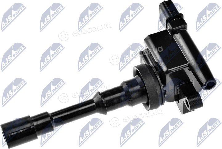 NTY ECZ-MS-005
