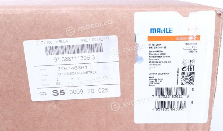 Mahle CI 181 000P