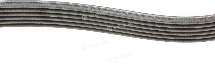 Continental 6PK1090