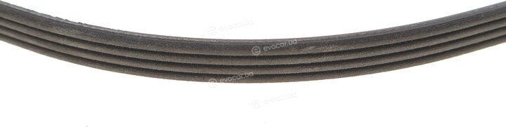 Dayco 4PK1538
