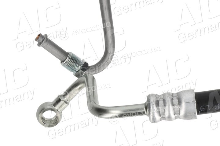 AIC 54956