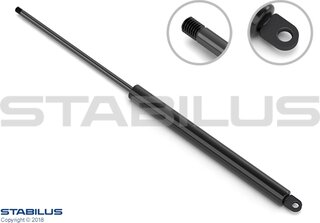 Stabilus 290793