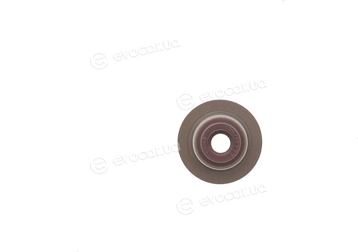 Elring B30.100