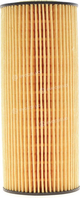 Hengst E864H D184