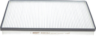 Hengst E2913LI