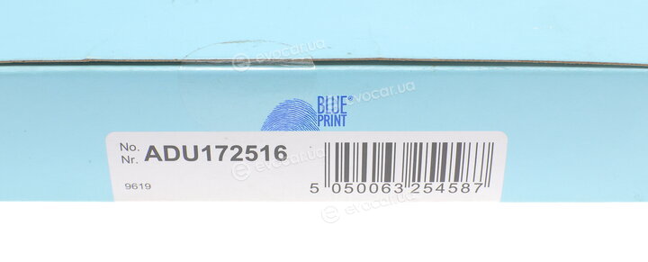 Blue Print ADU172516