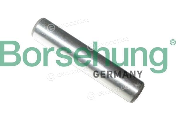 Borsehung B13349