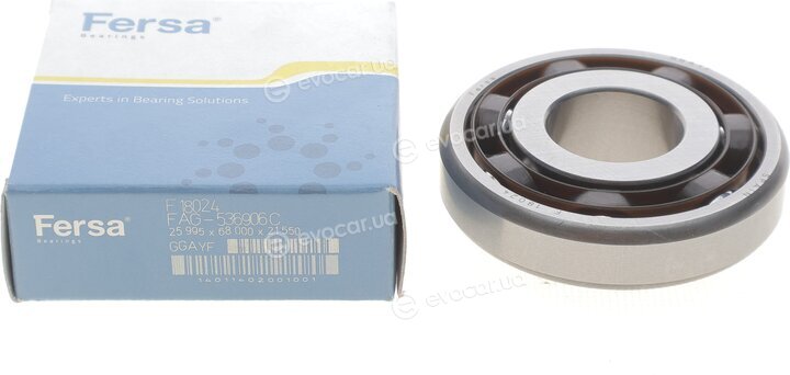Fersa F 18024