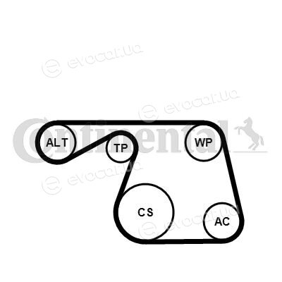 Continental 6PK1310K1