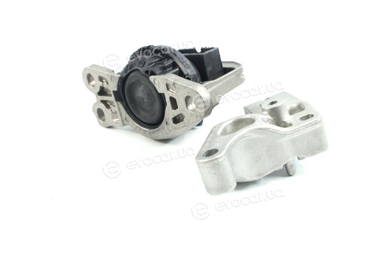 Renault / Nissan 113752598R