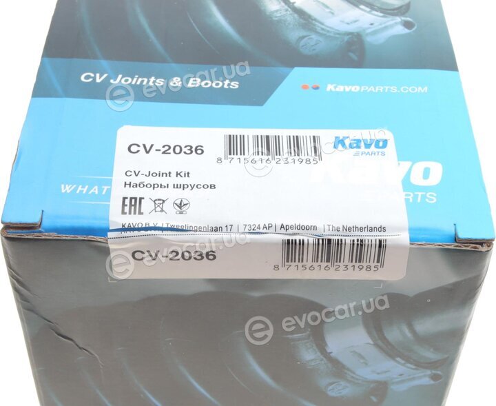 Kavo CV-2036