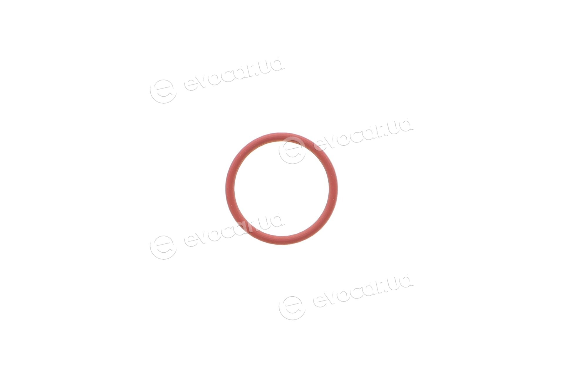 Elring 456.670