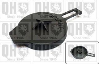 Quinton Hazell FC565
