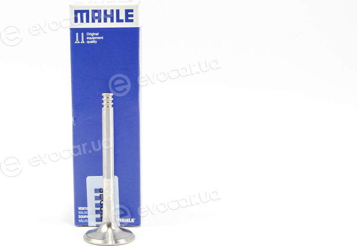 Mahle 029 VA 31103 100