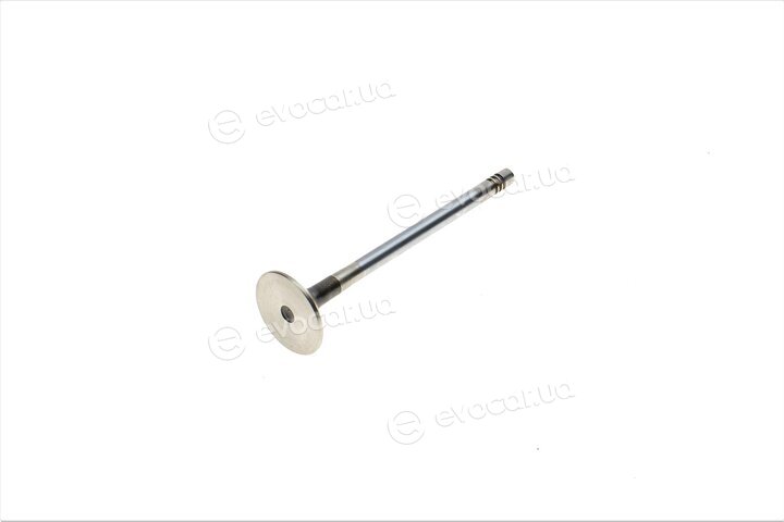 Mahle 029 VA 31101 100