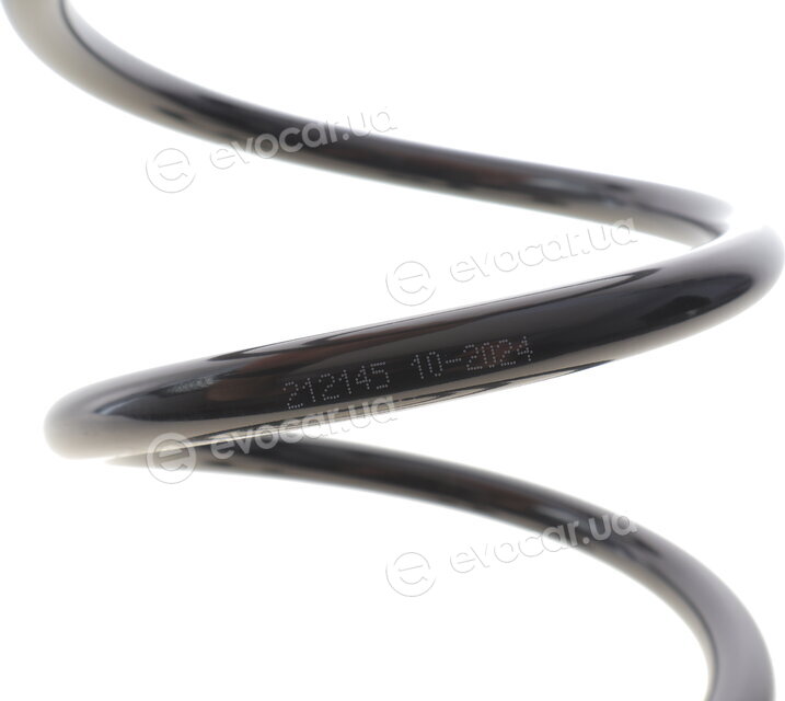 Solgy 212145