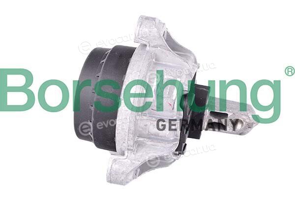 Borsehung B12606