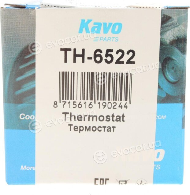 Kavo TH-6522